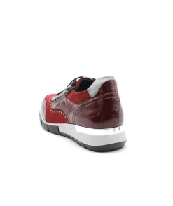 Dorking D8680 Xanet