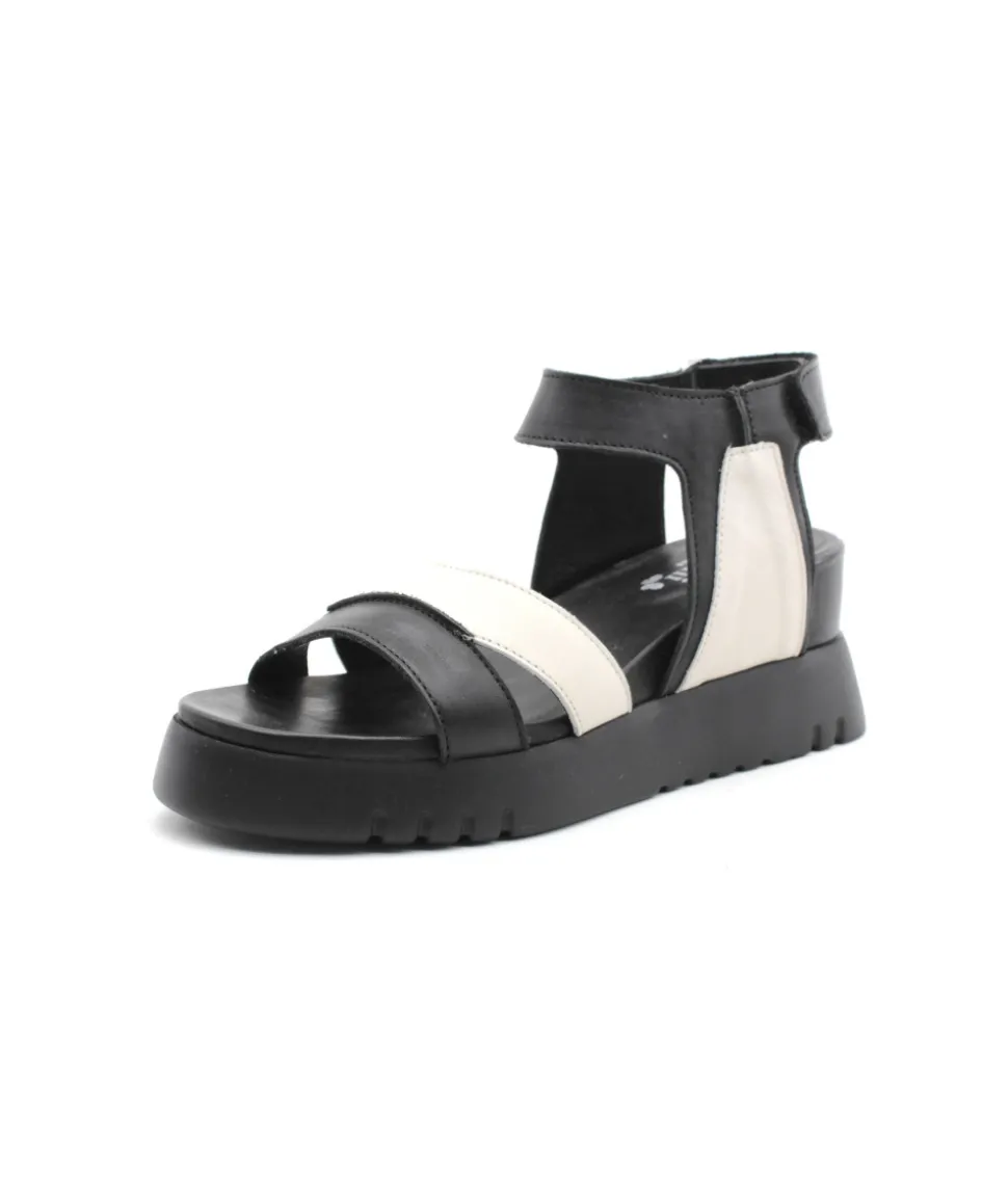 Felmini D837 Calf