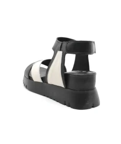 Felmini D837 Calf