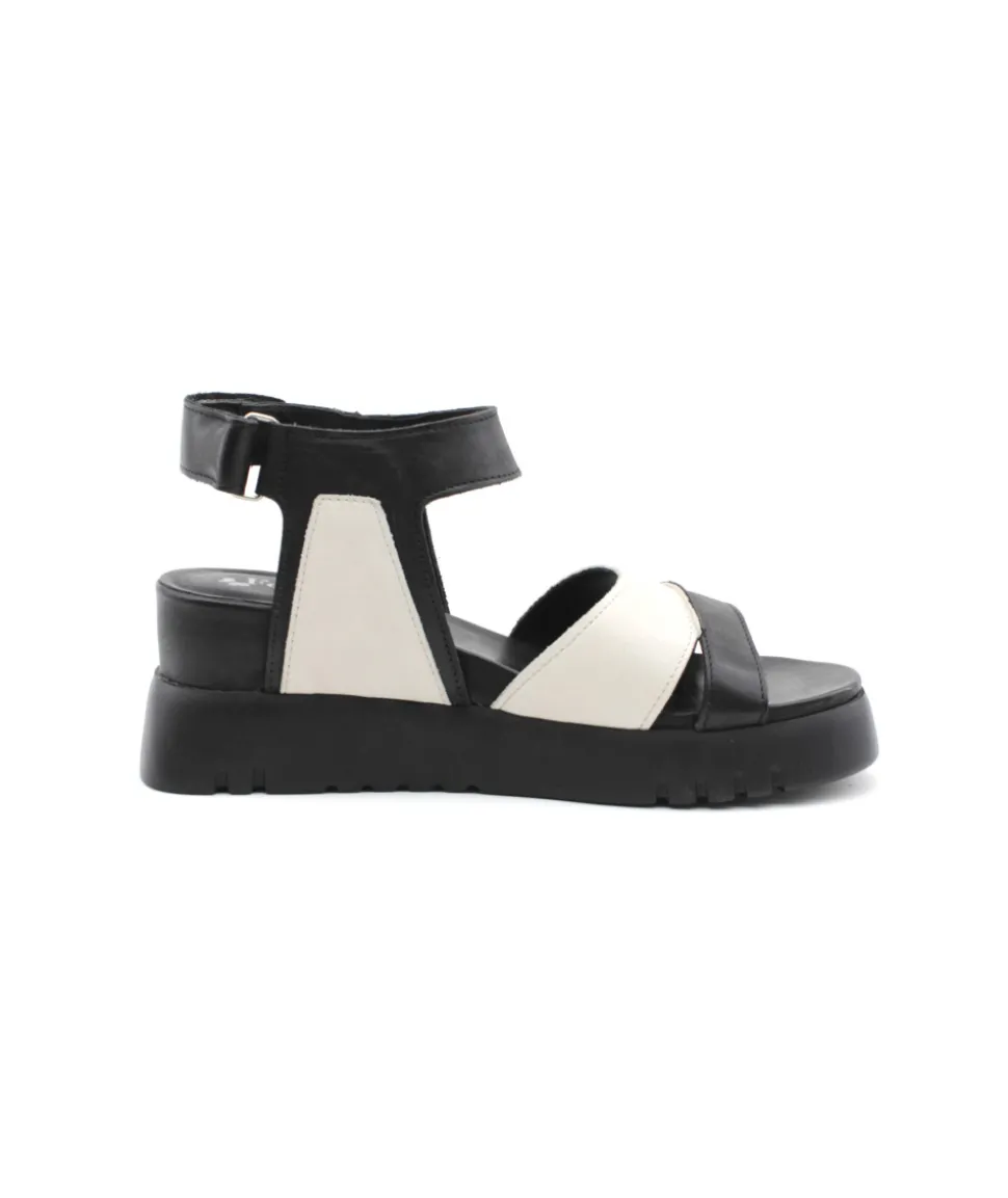 Felmini D837 Calf