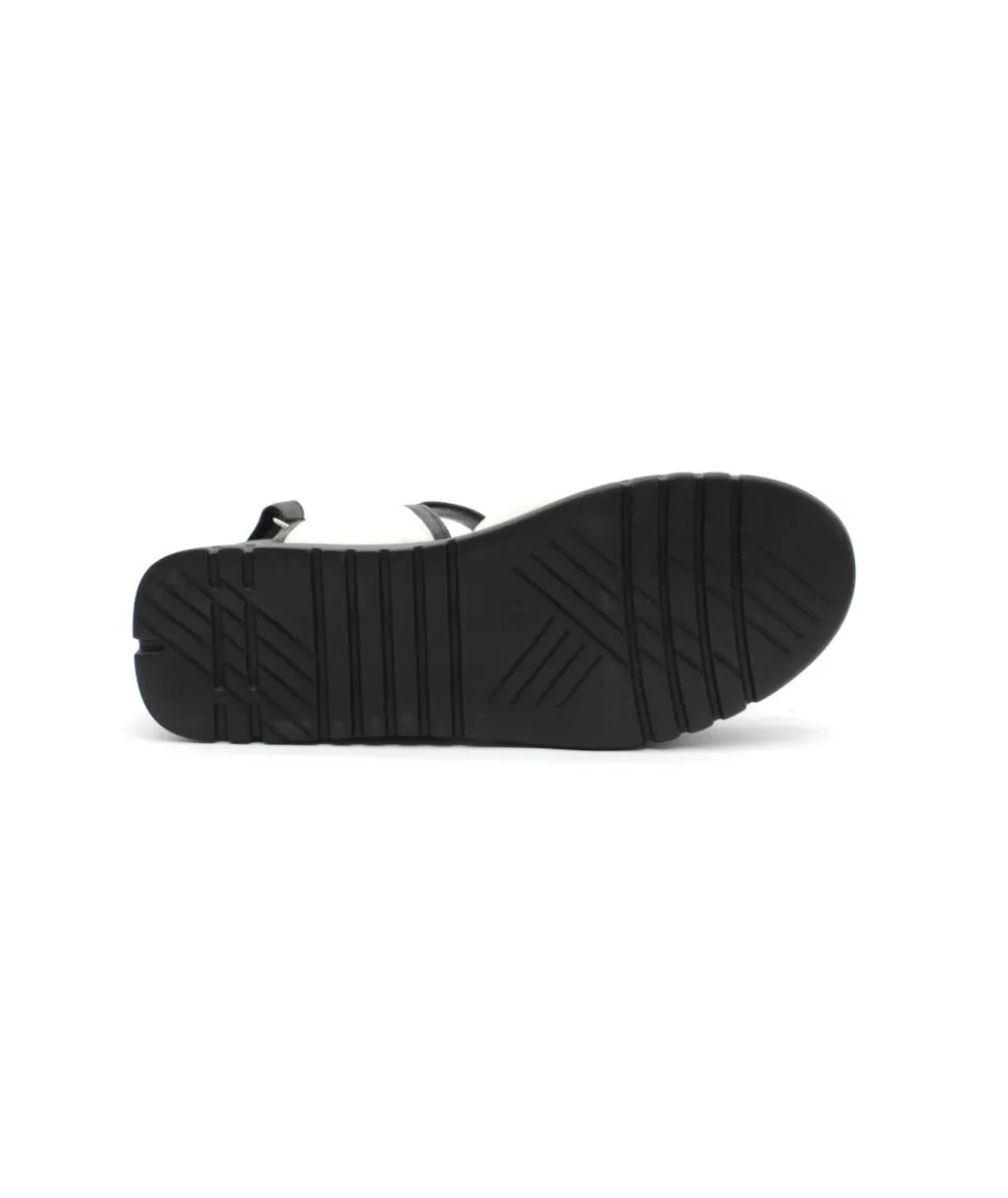 Felmini D837 Calf