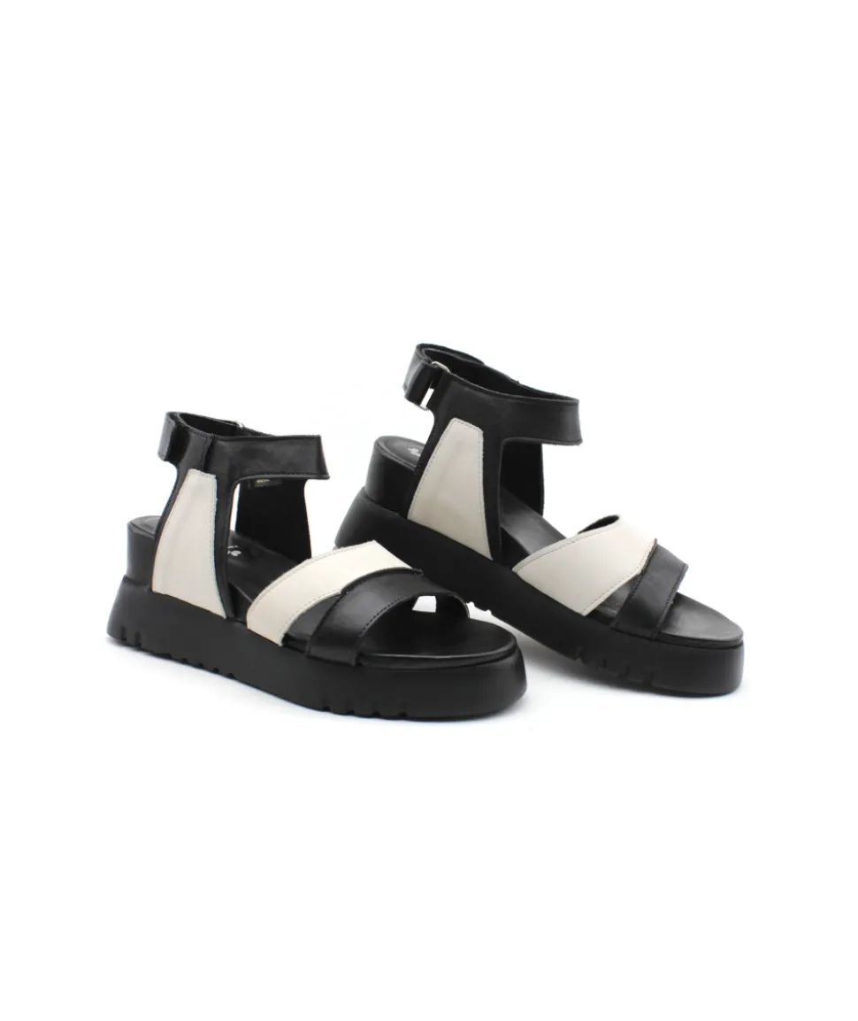 Felmini D837 Calf