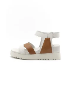 Felmini D837 Calf
