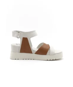 Felmini D837 Calf