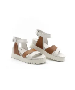 Felmini D837 Calf