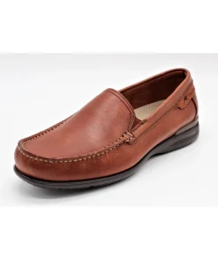 Fluchos 8682 Orion
