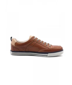 Fluchos 9376 Quebec