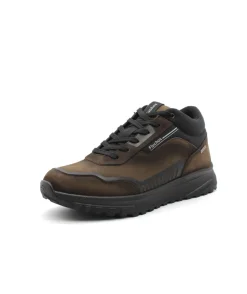 Fluchos F1840 Arion