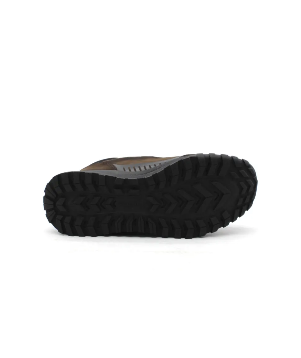 Fluchos F1840 Arion