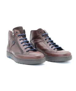 Fluchos F0299 Atlas