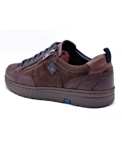 Fluchos F0292 Atlas