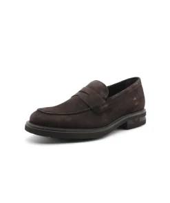 Fluchos F0633 Belgas