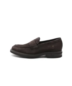 Fluchos F0633 Belgas