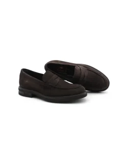 Fluchos F0633 Belgas