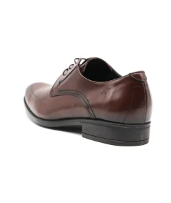 Fluchos F0677 Beta
