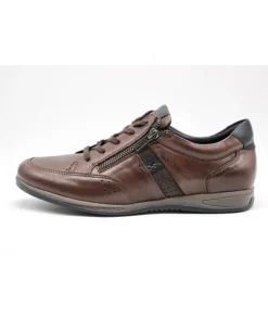 Fluchos F1280 Daniel