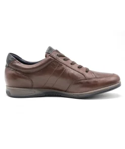 Fluchos F1280 Daniel