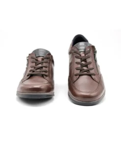 Fluchos F1280 Daniel