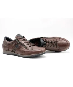 Fluchos F1280 Daniel