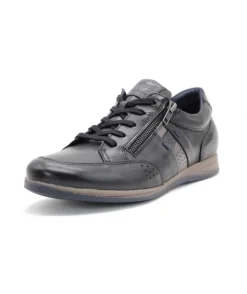 Fluchos F1280 Daniel