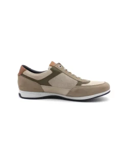 Fluchos F1288 Daniel