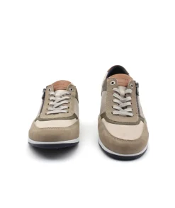 Fluchos F1288 Daniel