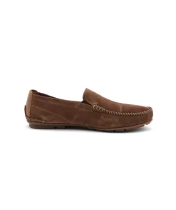 Fluchos F1091 Dorian