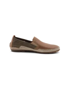 Fluchos F1178 Dorian