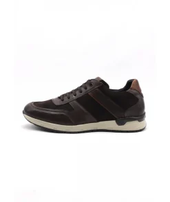 Fluchos F1293 Emory