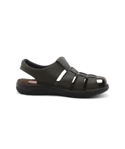 Fluchos F1754 Keops