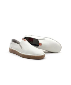 Fluchos F1944 Leo
