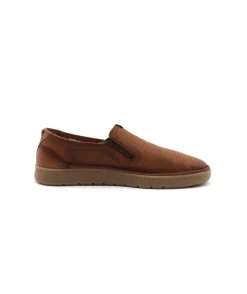 Fluchos F1946 Leo