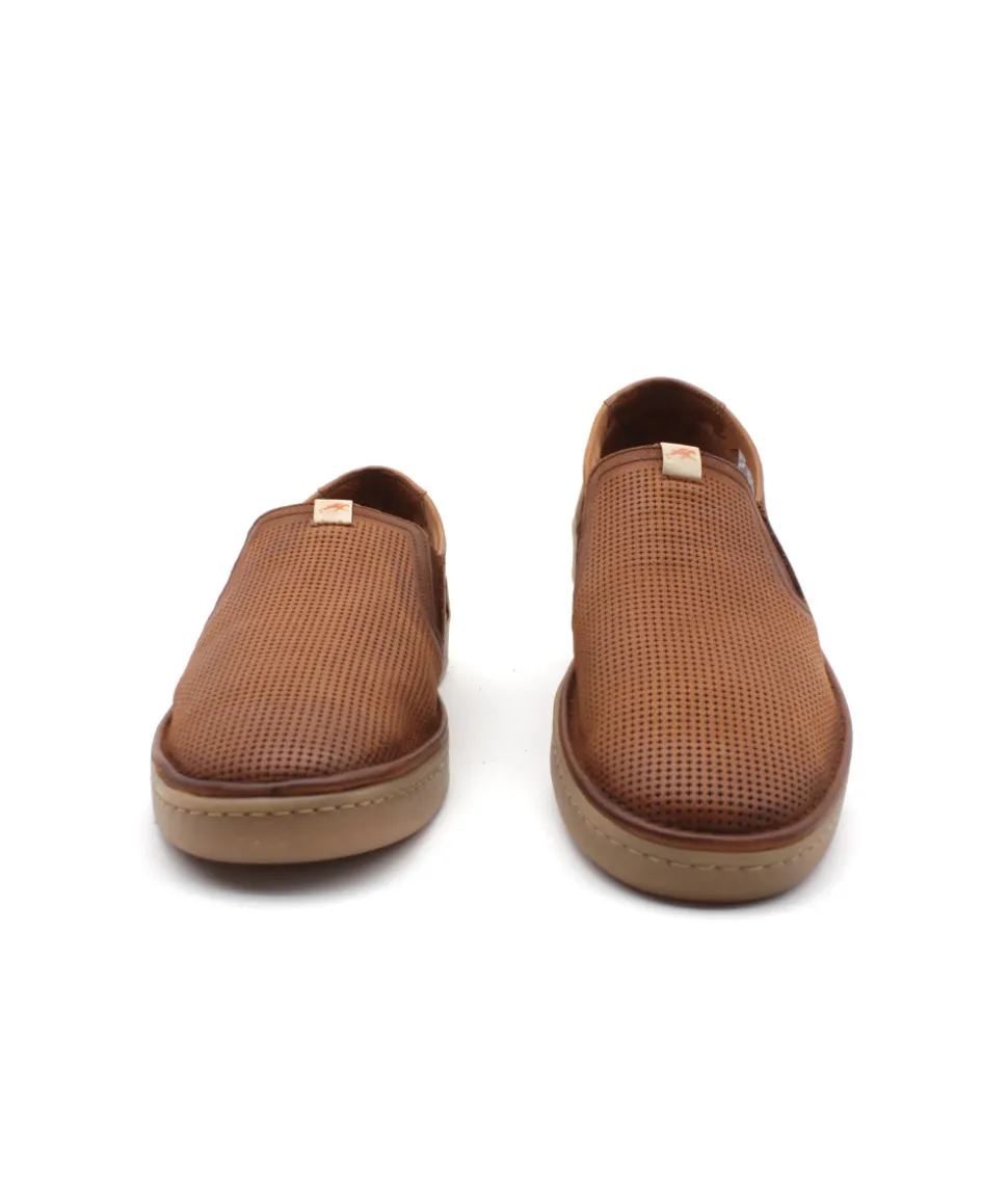 Fluchos F1946 Leo
