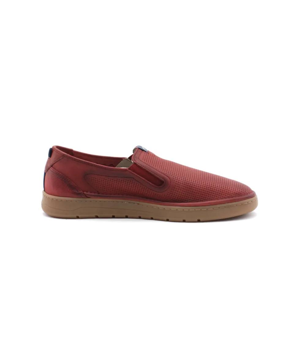 Fluchos F1946 Leo