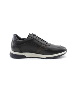 Fluchos F1600 Louis