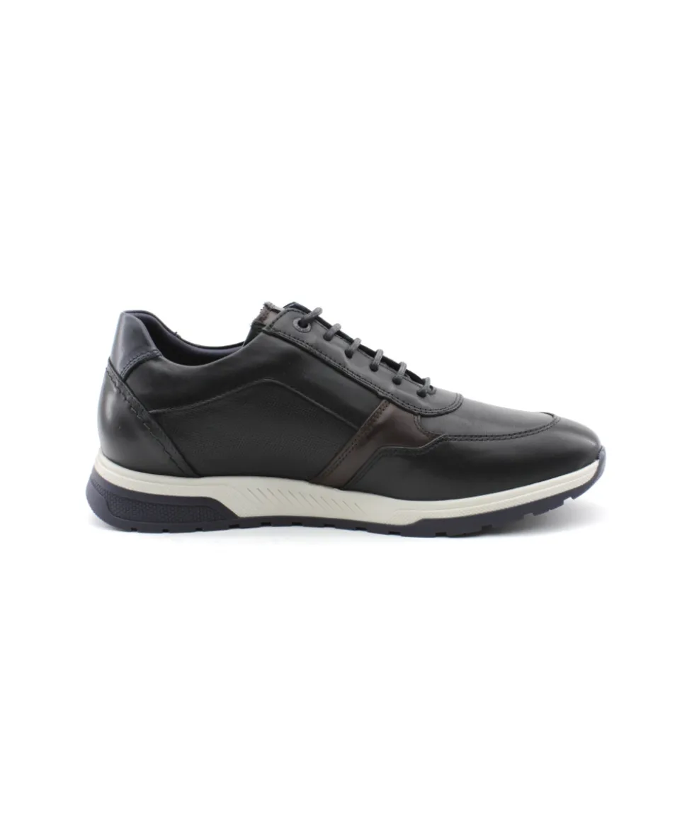 Fluchos F1600 Louis