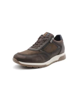 Fluchos F1603 Louis
