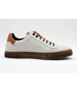 Fluchos F1336 Niko