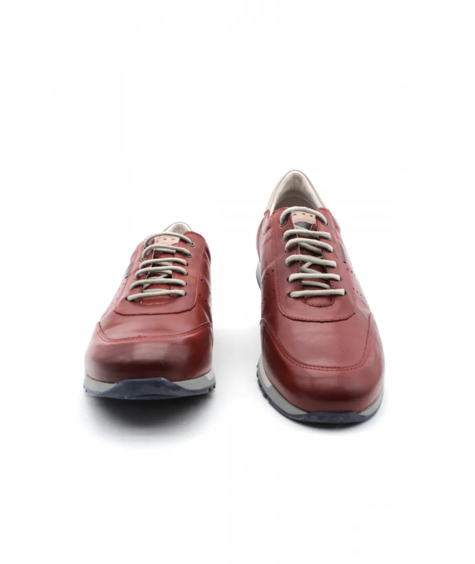 Fluchos F1186 Sander