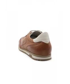 Fluchos F1186 Sander