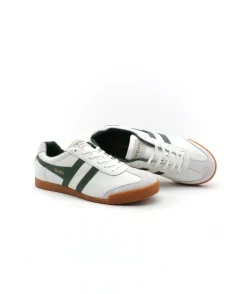 Gola Harrier Cmb426