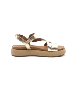 Inuovo A96003