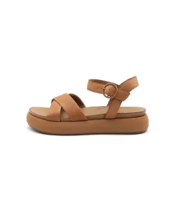 Inuovo A96004