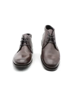 Lloyd Tamar