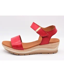 Paula Urban 1144