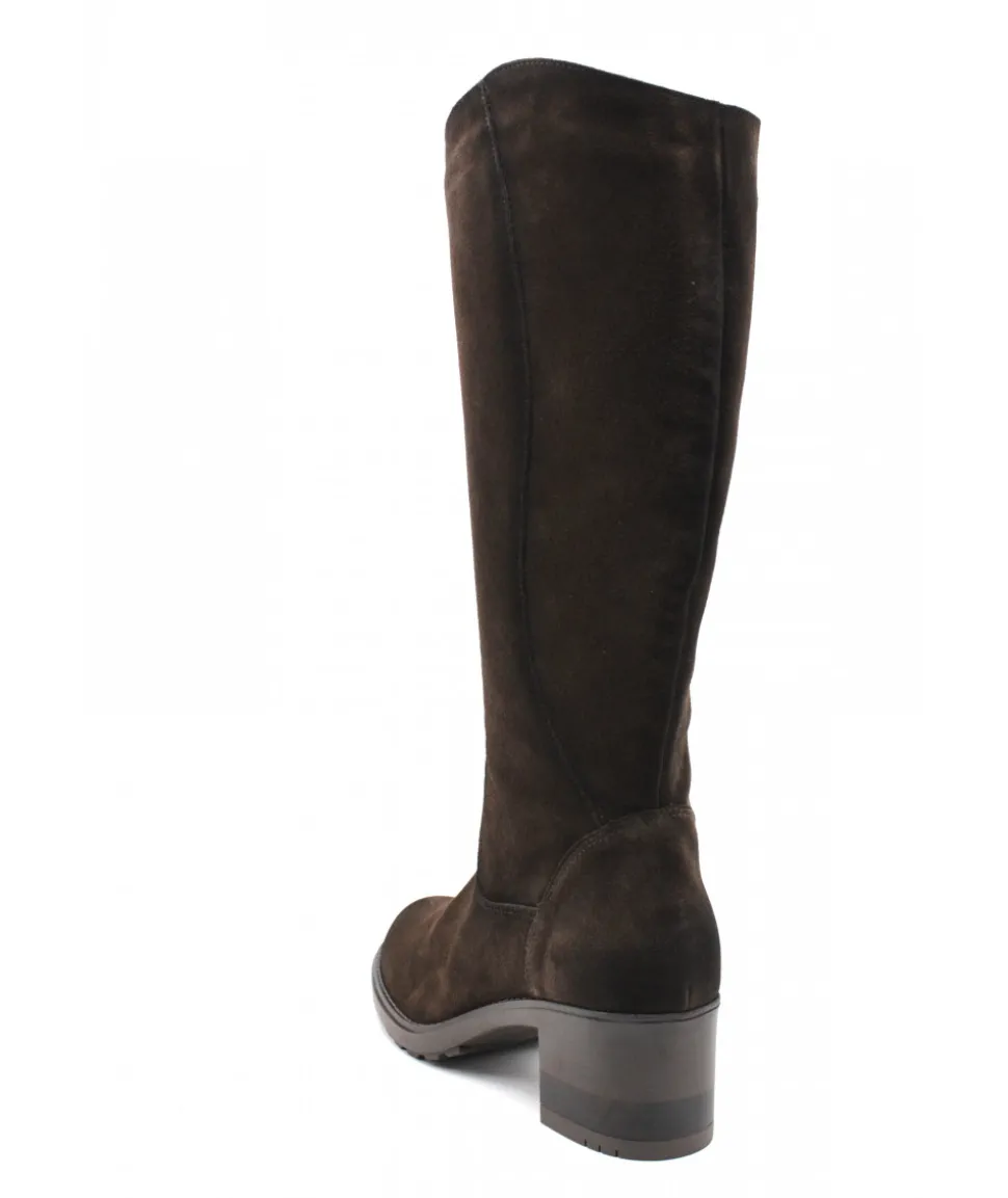 Paula Urban 8-1170