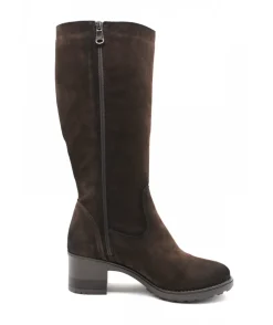 Paula Urban 8-1170