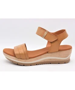 Paula Urban 1144 Bangla