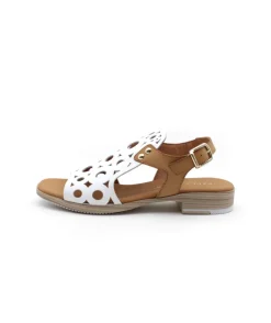 Paula Urban 9-654 Bangla
