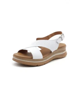Paula Urban 24-578 Bangla